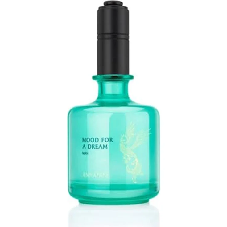 Annayake - Mood For A Dream Man - EDT Eau de Toilette 100ml