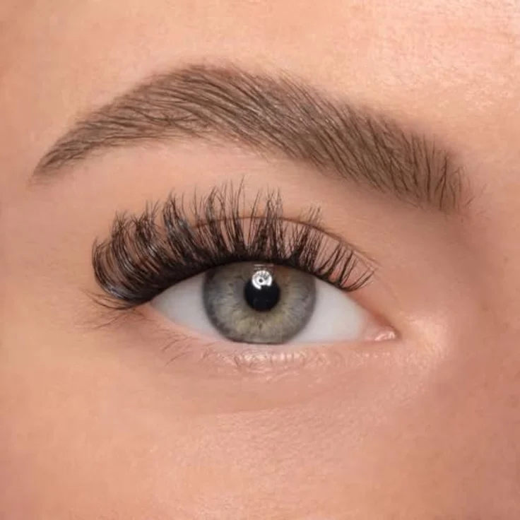 AYLASHES Limited Edition The Scorpio DIY Wimpernextensions, 6 Paar mit C-Curl, Cat-Eye-Look, bis zu 7 Tage Halt – Bild 3