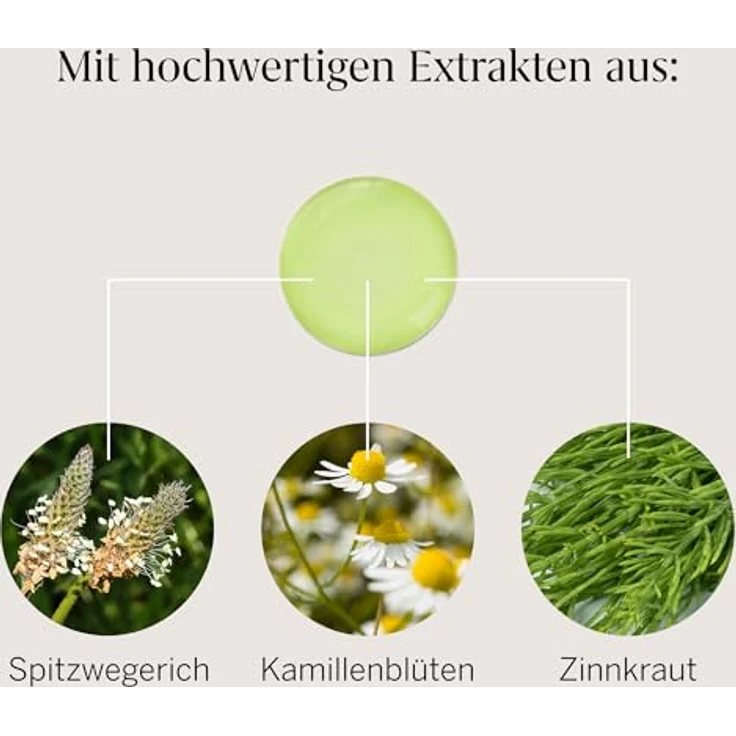 Rausch Pflege-Shampoo mit Schweizer Kräutern, 200 ml für gepflegtes Haar – Bild 7
