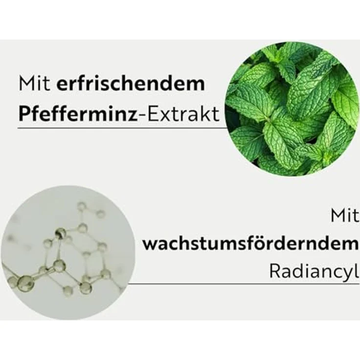 ahuhu ESSENTIAL ANTI-AGE Shampoo (200 ml) – Haarshampoo mit Radiancyl & Pfefferminz-Extrakt, reduziert Haarausfall, fördert Haardichte & Volumen, silikonfrei, für Damen & Herren, vegane Haarpflege – Bild 4