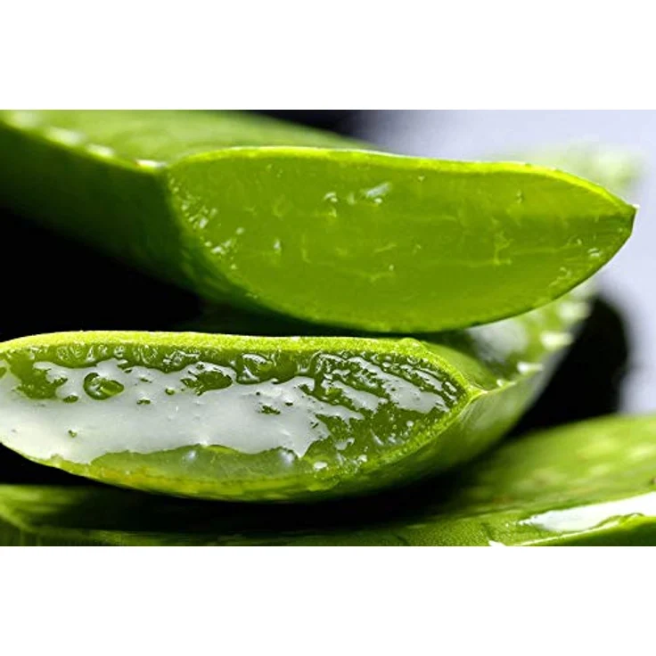 Tabaibaloe Body Milk 100% Aloe Vera natural 250 ml  – Bild 5