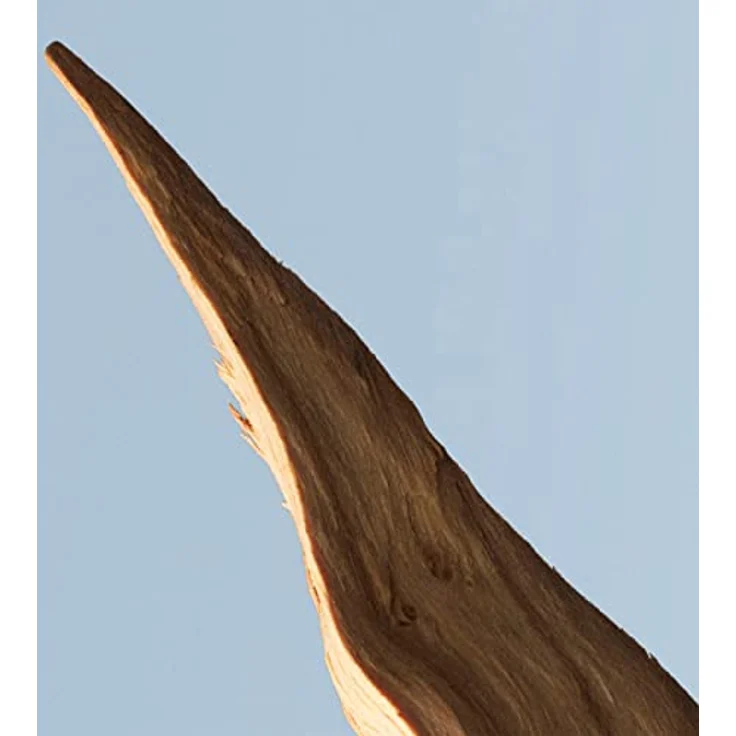 Hugo Boss Boss Bottled Tonic Eau de Toilette (EdT) Herrenduft 100 ml Duftfamilie: würzig, frisch, zitrisch – Bild 5