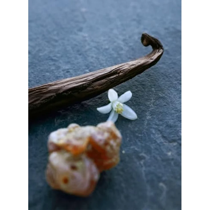 Chloé Nomade Nuit d'Egypte Eau de Parfum, 50 ml - Holzig-blumiger Moschusduft von Billie Eilish – Bild 4