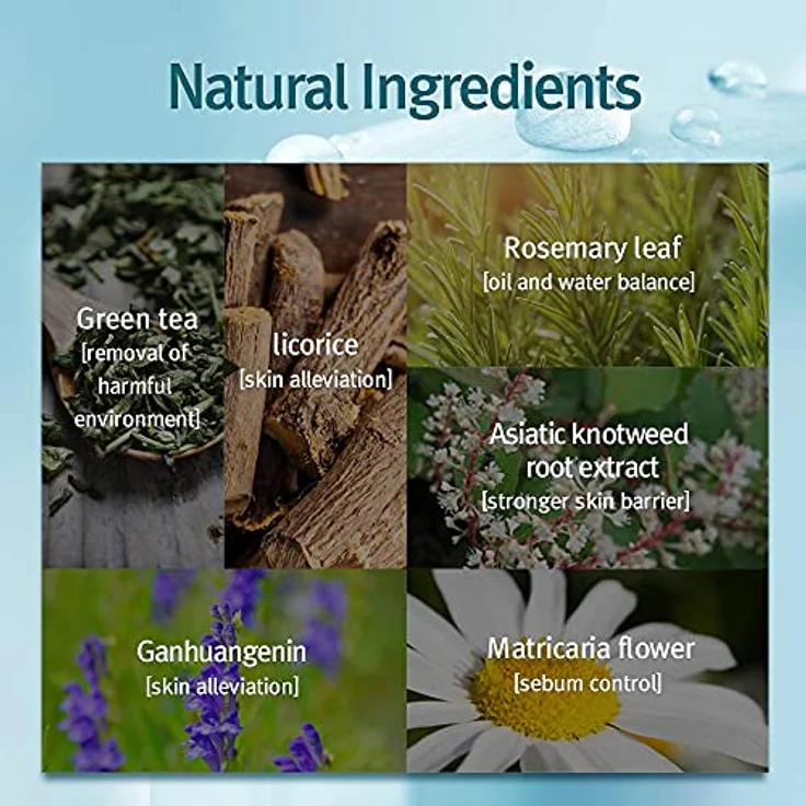 Pyunkang Yul ACNE Facial Cleanser, sanfter Gesichtsreiniger mit Forsythia-Extrakt und Peptiden, 120 ml – Bild 3