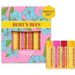 Burt's Bees Lippenbalsam-Geschenkset, 4 x 4,25 g, mit Bienenwachs, Erdbeere, Drachenfrucht-Zitrone und Tropischer Ananas, natürliche Lippenpflege