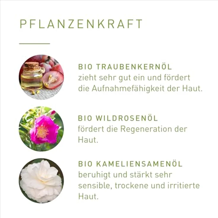 Primavera Körperöl Waldspaziergang, Trockenöl mit Bio-Pflanzenkraft, 100 ml – Bild 5