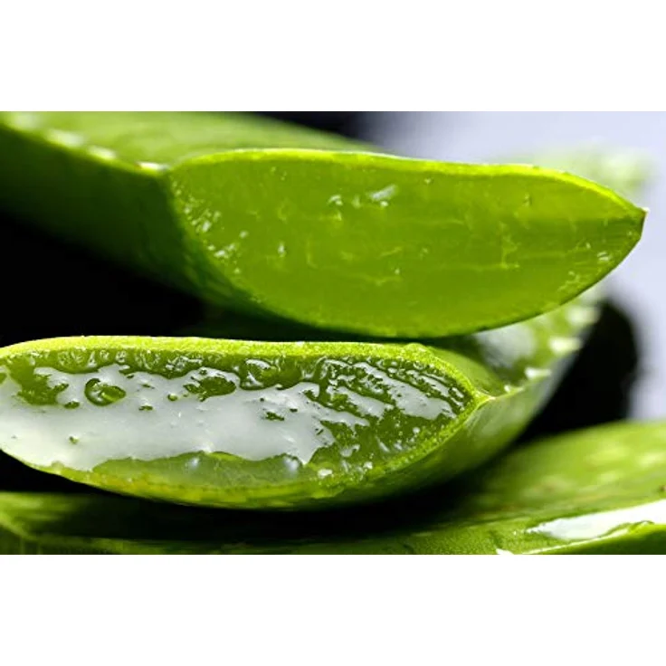 Tabaibaloe 100% Aloe Vera Gel, Feuchtigkeitsgel für hautregenerierende Pflege, 300ml – Bild 4