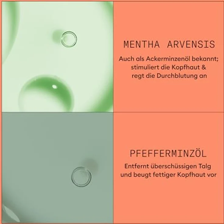 NIOXIN Scalp + Hair System 4 Conditioner - Haarspülung für strapaziertes, sichtbar dünner werdendes Haar - mit Biotin, Koffein & Niacinamid (1 l) – Bild 5