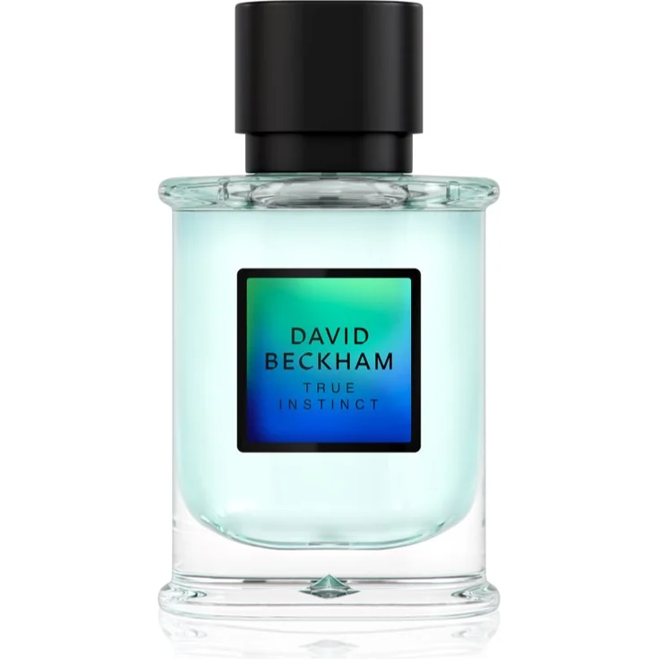 David Beckham True Instinct, Eau de Parfum für Herren, 50 ml, holziger Duft für den modernen Gentelman