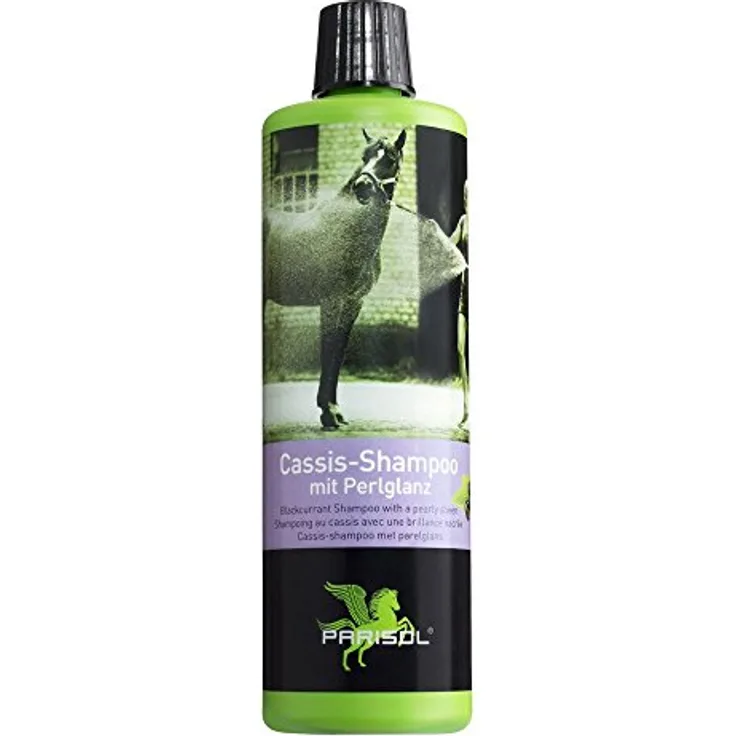 PFIFF Bense & Eicke Pflege Shampoo, 500 ml - Cassis-Shampoo mit Perlglanz