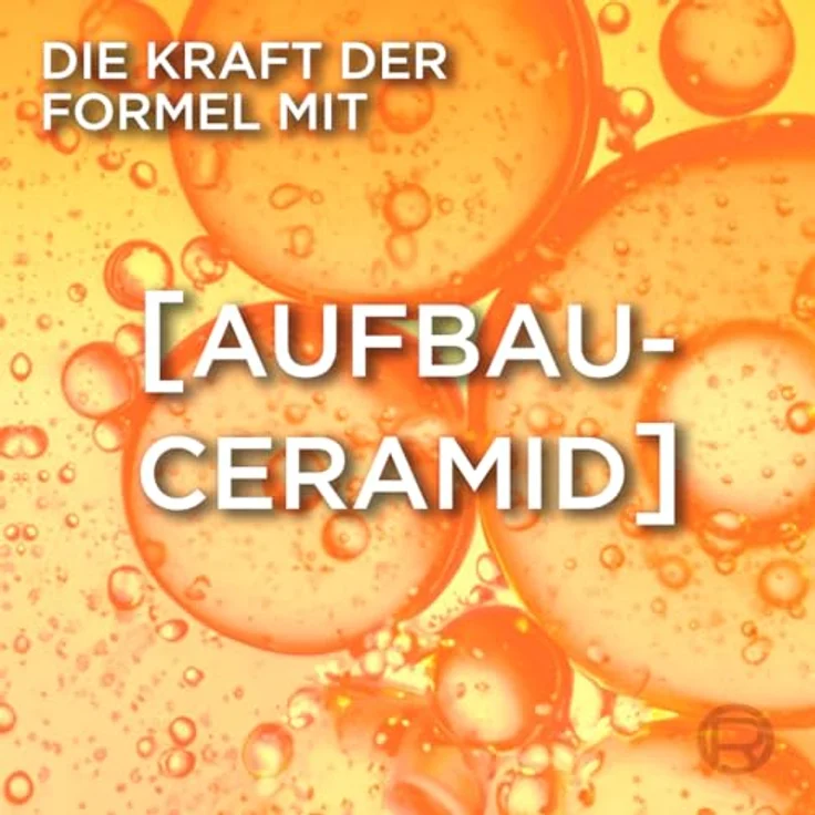 L'Oréal Paris Elvital Anti-Haarbruch Pflegende Aufbauspülung mit Aufbau-Ceramid, 6 x 250 ml - Intensive Haarstruktur-Wiederherstellung für weniger Haarbruch – Bild 3