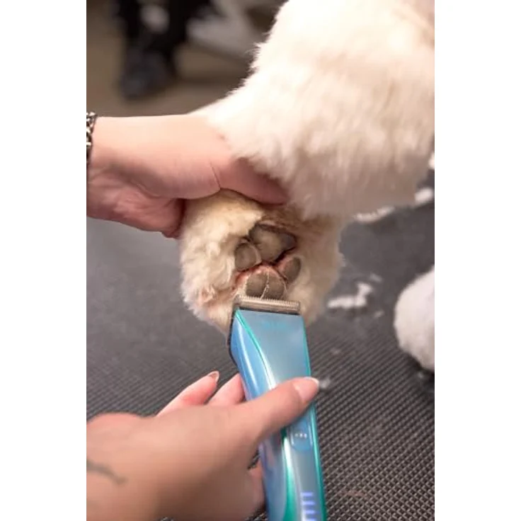 Wahl Pro Pet Motiva2 Blue Ivy, professioneller Tierhaarschneider mit 5-in-1 Schneidsatz, Akku- und Netzbetrieb, leise, ergonomisch und leicht – Bild 9