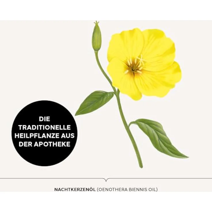 DR. SCHELLER Reichhaltige Nachtkerzenöl Intensivcreme, 50 ml, dermatologisch getestet, zertifizierte Naturkosmetik, vegan, schützende Pflege für beanspruchte Haut – Bild 7