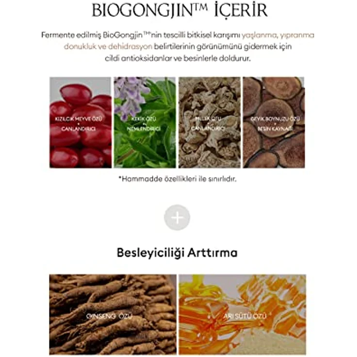 Missha CHOGONGJIN GEUMSUL JIN Augencreme, K-Beauty Augenpflege mit koreanischen Kräutern, 60 ml, gegen Falten und Schwellungen – Bild 4