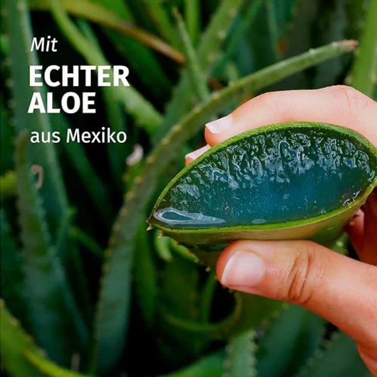 Herbal Essences Feuchtigkeits Shampoo mit Aloe und Jasminduft 350ml, für sehr trockenes zu glänzendem Haar, Vegan – Bild 2