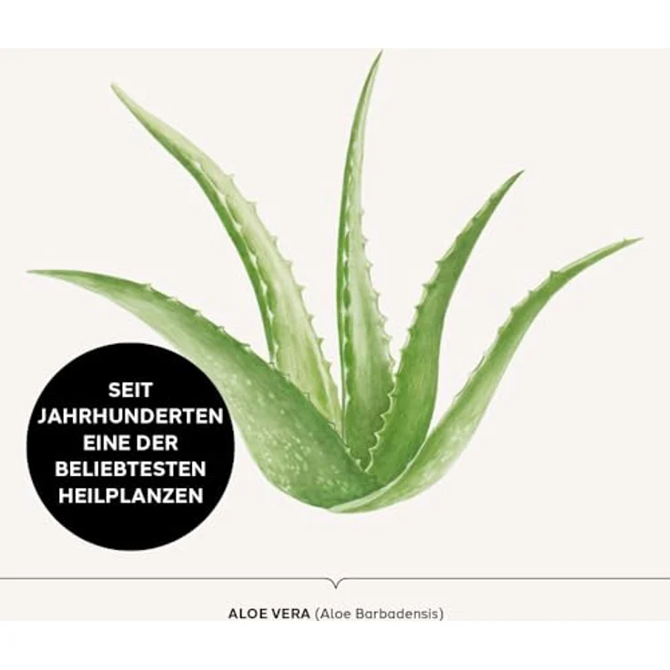 DR. SCHELLER Sanftes Aloe Vera-Reinigungsgel, 125ml – Bild 4
