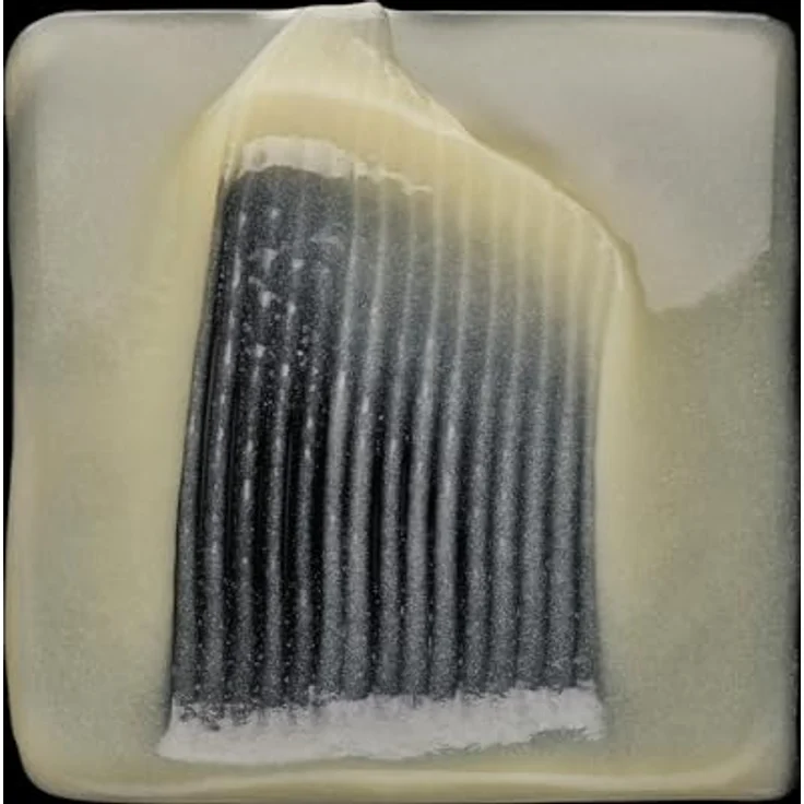 L'Oreal Professionnel Serie Expert Absolut Repair Gold Shampoo 500 ml – Bild 7