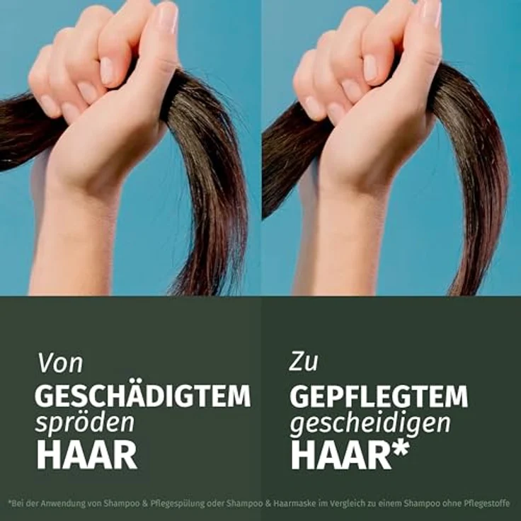 Herbal Essences Repair Shampoo mit Arganöl 350ml. Von geschädigtem zu Geschmeidigerem, Glänzenden Haar, Intensive Pflege, Mit Inhaltsstoffen natürlichen Ursprungs, Vegan, ohne Silikone – Bild 5