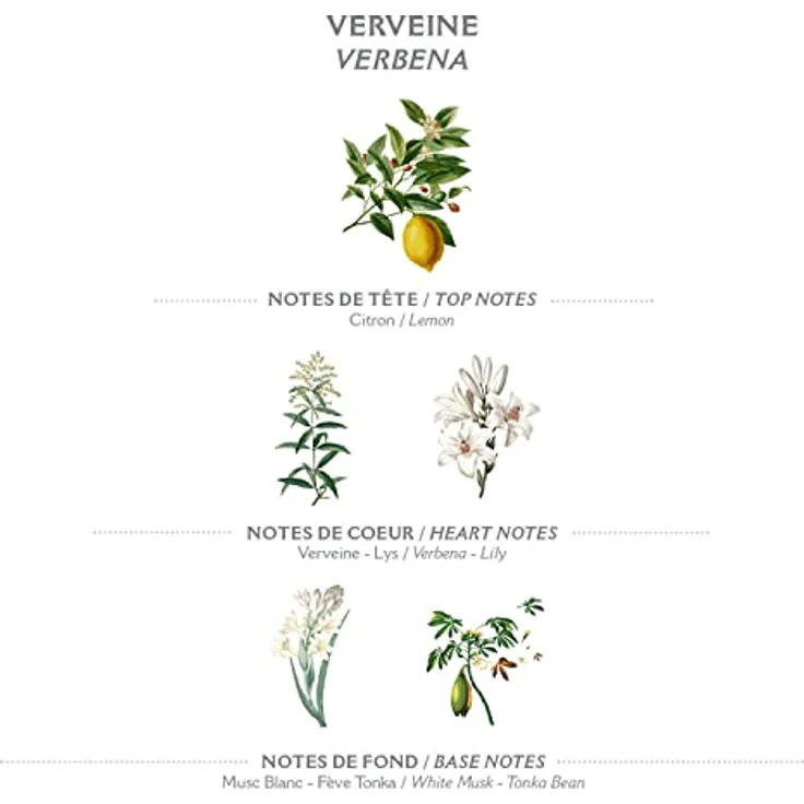 Panier des Sens Hand- & Körperseife mit Verbene, 97% natürliche Inhaltsstoffe, 2x150g - Mit Olivenöl, Marseille Seife für Damen und Herren – Bild 2