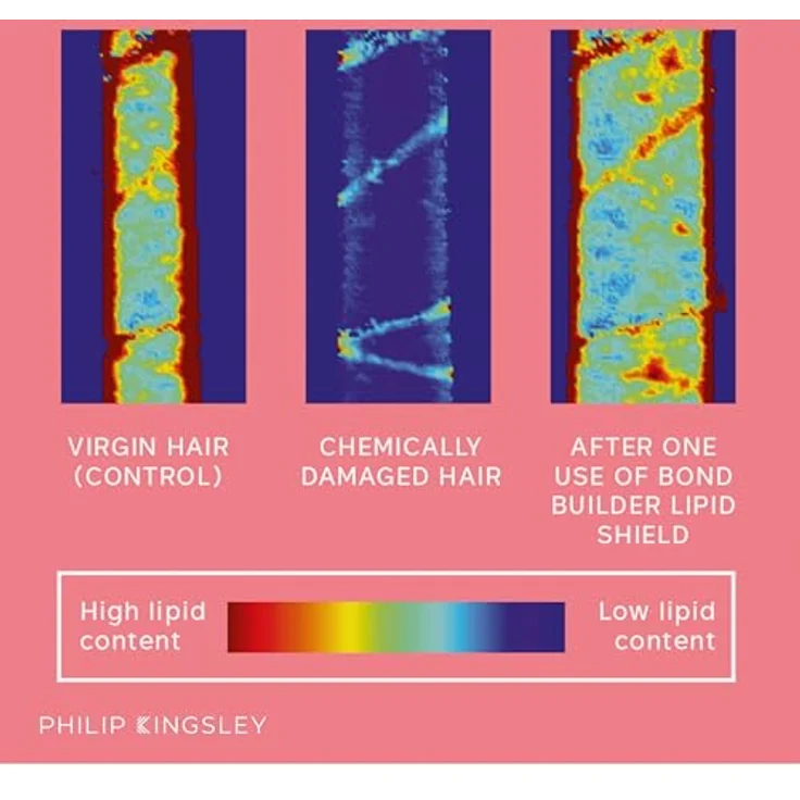 Philip Kingsley Bond Builder Lipid Shield, Regenerierende Haarölbehandlung für trockenes und strapaziertes Haar, 30ml – Bild 4