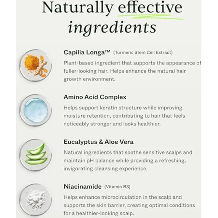 Scandinavian Biolabs Bio-Pilixin® Shampoo+, 250 ml, Natürliches, veganes Pflegeprodukt für Männer mit Eukalyptusduft – Bild 2