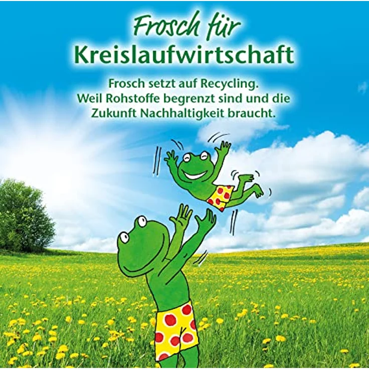 Frosch Pfirsichblüte Sensitiv-Seife, Pflegende Handseife zur sanften und Hygienischen Reinigung, Nachfüllbeutel, 500 ml – Bild 4