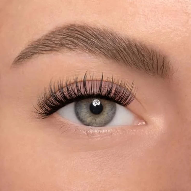 AYLASHES DIY Wimpernextensions Maxi Box CAFE GLAM, 6 Paar wiederverwendbare Cat Eye Wimpern, bis zu 7 Tage Halt, dermatologisch , für zu Hause – Bild 2