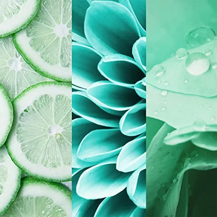 8X4 Fresh Lime Deospray, Aluminiumfreies Deodorant mit Zitrusnoten, 48h Schutz, 150 ml – Bild 4