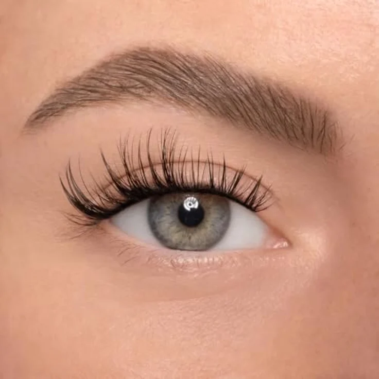 AYLASHES Limited Edition The Taurus DIY Wimpernextensions, 6 Paar C-Curl Wimpern mit feinen Spikes, bis zu 7 Tage Halt, handgefertigt, tierversuchsfrei – Bild 3