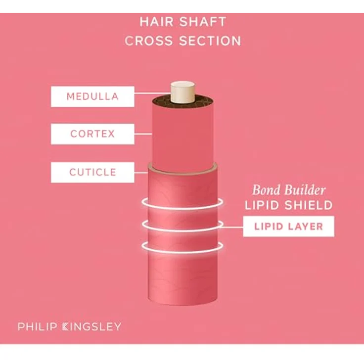 Philip Kingsley Bond Builder Lipid Shield, Regenerierende Haarölbehandlung für trockenes und strapaziertes Haar, 30ml – Bild 5
