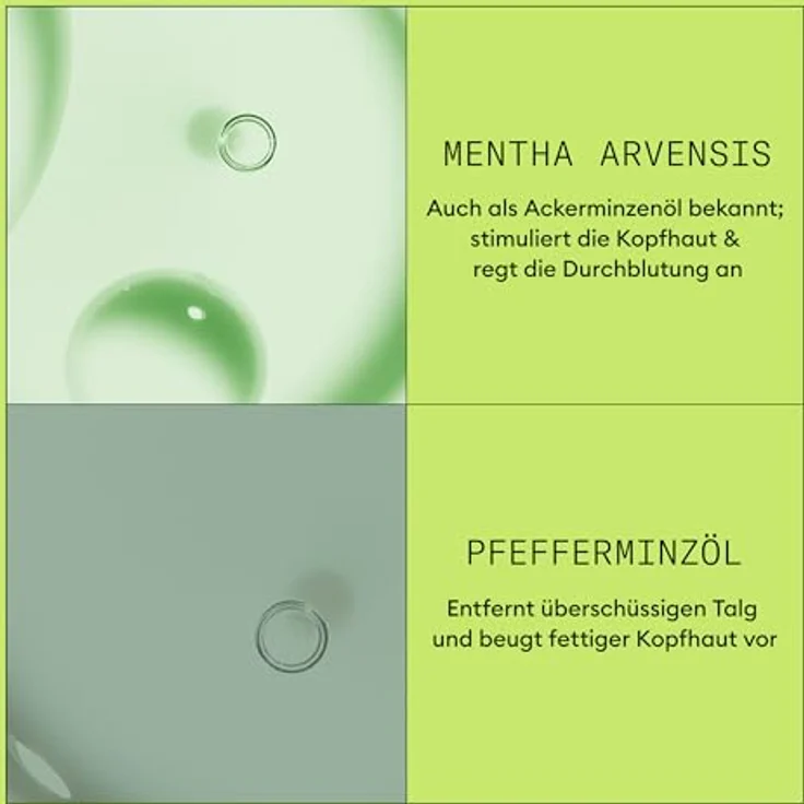 NIOXIN Scalp + Hair System 2 Conditioner – Haarspülung für unbehandeltes, sichtbar dünner werdendes Haar – mit Biotin, Koffein & Niacinamid (1 l) – Bild 5