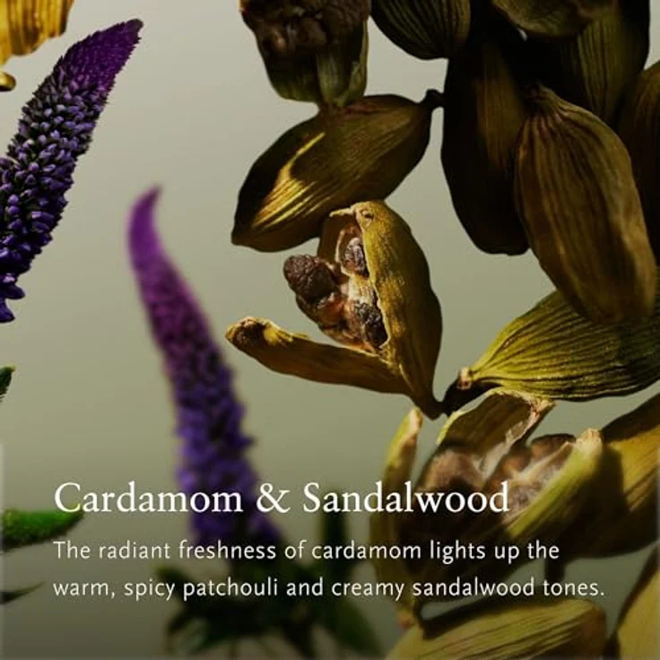 RITUALS L'Essentiel Eau De Parfum Homme, 50 ml, aromatisch-würziger Duft mit Kardamom und Patchouli – Bild 4