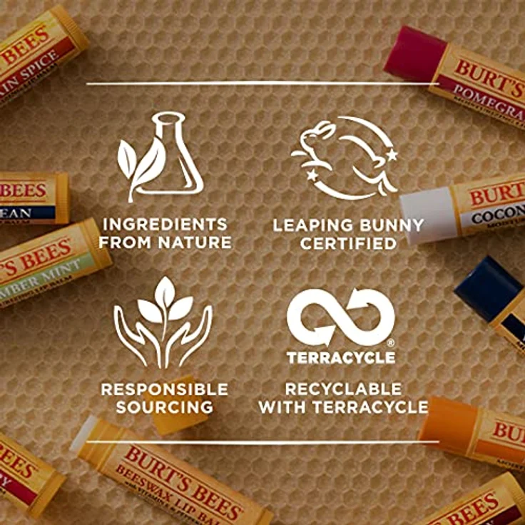 Burt’s Bees Festive Lippenbalsam, feuchtigkeitsspendend mit Geschmack Mint Cocoa, 4,25 g – Bild 7