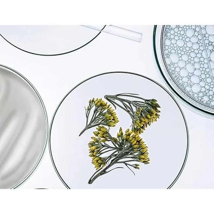 Collistar Anti-Aging-Gesichtstonic Gesicht, spendet Feuchtigkeit und strafft die Haut, für reife Haut 250 ml – Bild 3