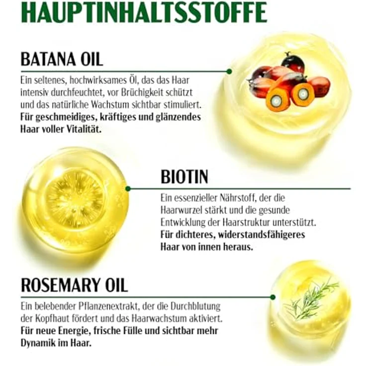 P-Beauty Haarmaske mit Batana Öl, Intensivpflege für Haarwachstum & Haarpflege, vegan mit Biotin & Vitamin E, regeneriert trockenes Haar, 3x60g – Bild 3