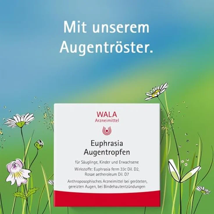 EUPHRASIA AUGENTROPFEN 10X0.5 ml – Bild 3