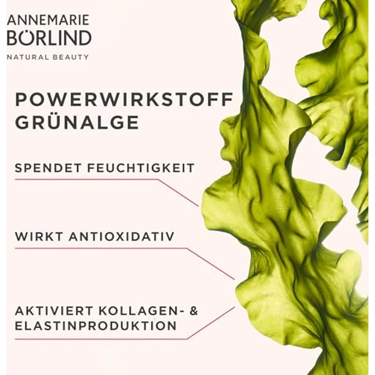 Annemarie Börlind System Absolute Regenerierende Nachtcreme 50 ml – Bild 6