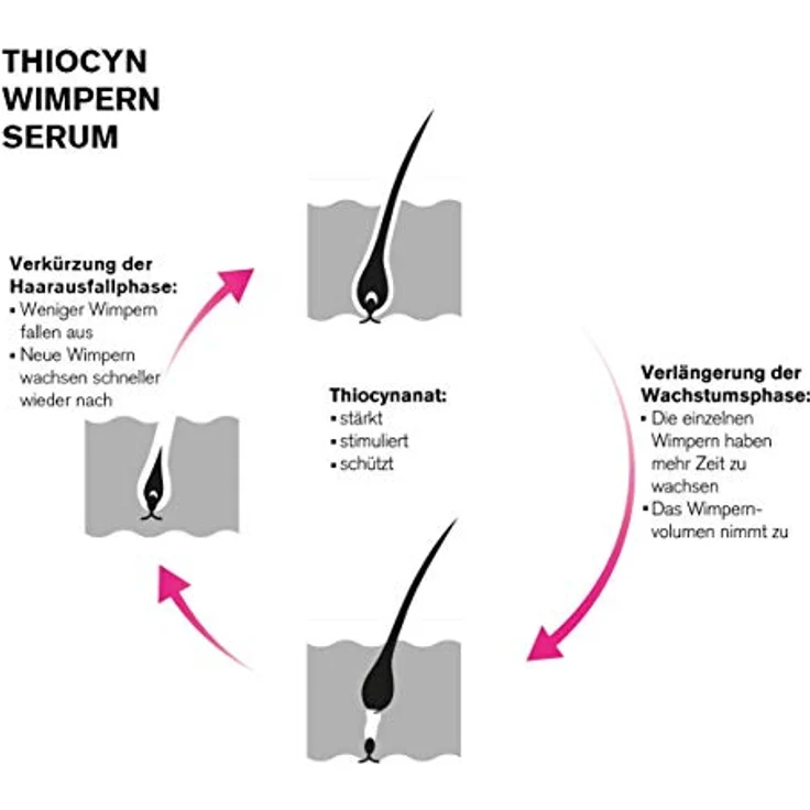THIOCYN Wimpern- und Augenbrauenserum, hormonfreies Wachstumsschutzmittel, für lange Wimpern und dichtere Augenbrauen, vegan, Made in Germany – Bild 3
