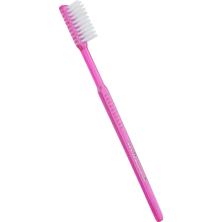 wellsamed Wellsabrush Einmalzahnbürsten mit Zahnpasta, Einwegzahnbürsten, Reisezahnbürsten, pink-rosa-transparent, 100 Stück