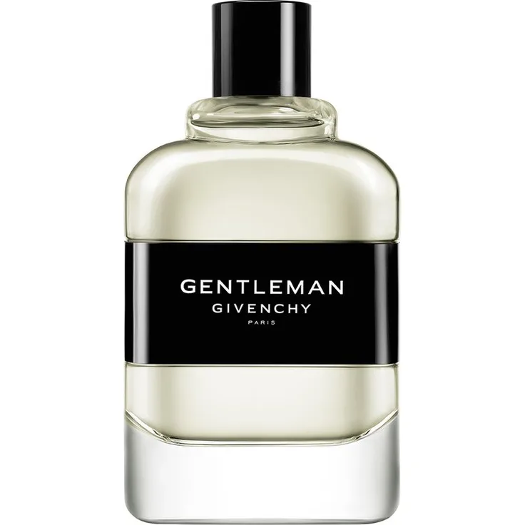 Givenchy Gentleman 2017 Eau de Toilette (EdT) Herrenduft 100 ml