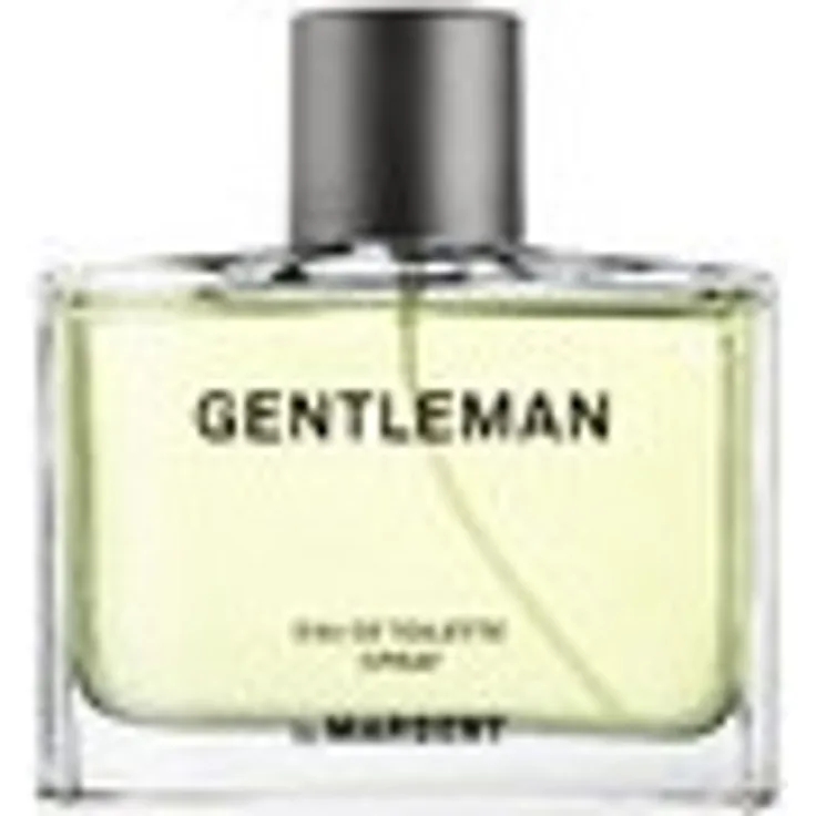 Marbert GentleMen Eau de Toilette (EdT) Herrenduft 100 ml