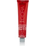 Schwarzkopf Igora Royal Premium-Haarfarbe 1-1 blauschwarz 60 g