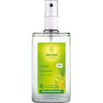 Weleda Citrus Deodorant ohne Aluminiumsalze 100 ml