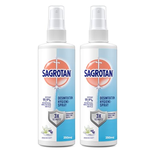 SAGROTAN Hygiene-Pumpspray 250 ml, Oberflächen-Desinfektionsmittel entfernt 99,9% der Bakterien, ideal für unterwegs