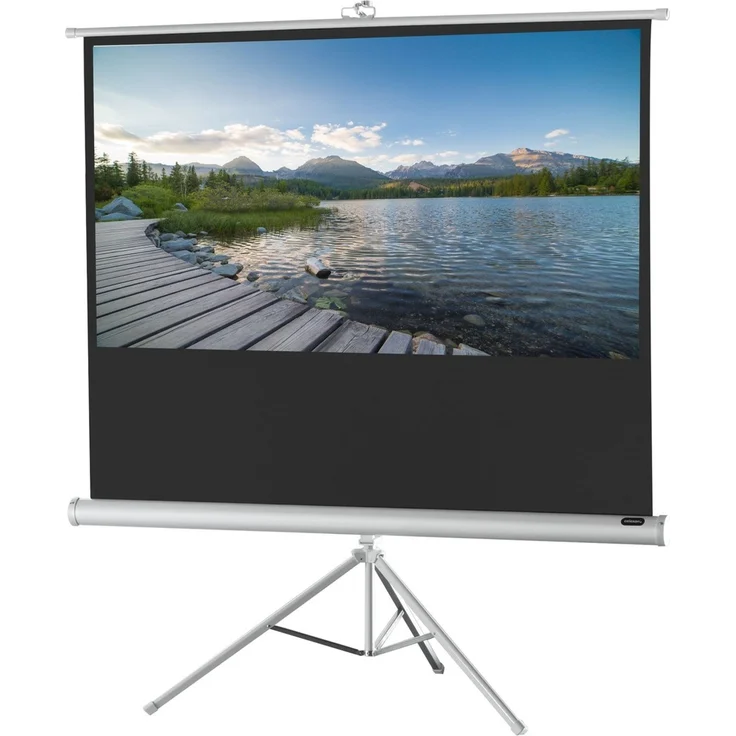 Celexon Stativleinwand Stativ Economy 1090264 133 x 75 cm Bildformat: 16:9 – Bild 1