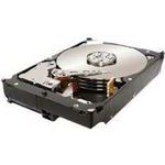 Seagate Constellation ES 7200.1 1TB (ST31000524NS)