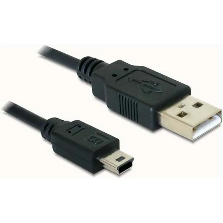 DeLOCK - USB-Kabel - USB (M) bis Mini-USB, Typ B (M) - 70 cm