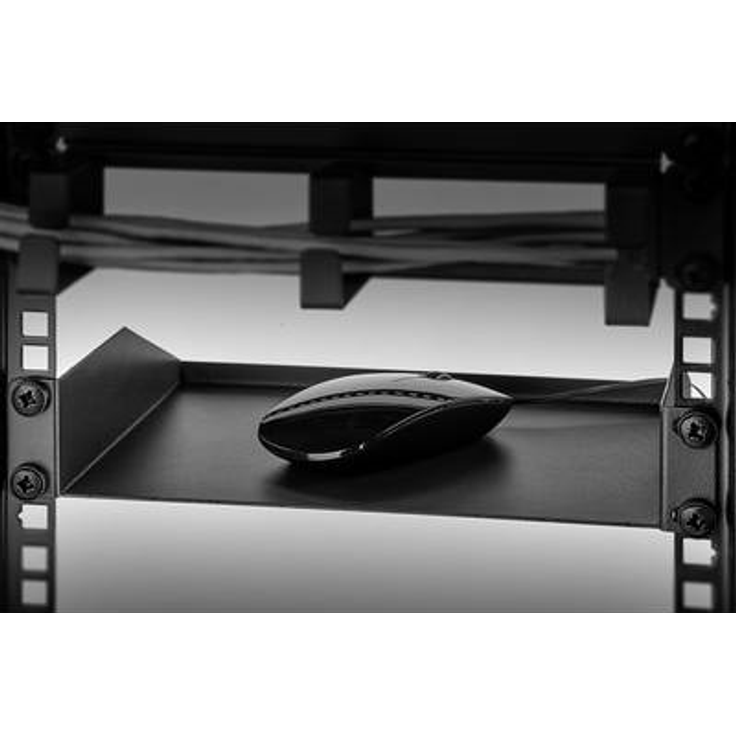 Renkforce RF-3429162 25,40cm (10) Netzwerkschrank-Geräteboden 1 HE Geeignet für Schranktiefe: ab 300 mm Schwarz (RF-3429162)