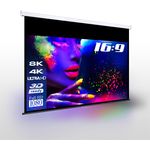 ESMART Professional MIROLO Rollo Leinwand 266 x 149 cm (120'') 16:9