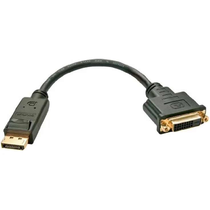 LINDY 41004 – DisplayPort an DVI Adapterkabel